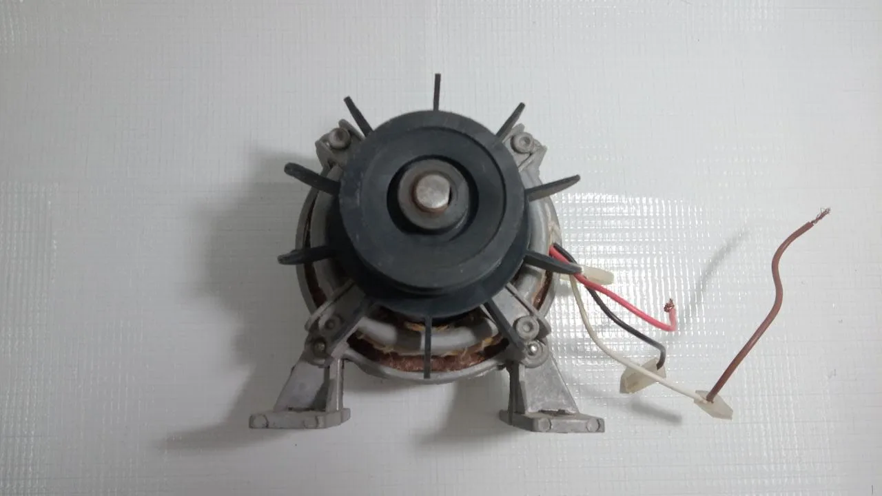 WhatsApp Image 2023-07-12 at 15.54.38 Motor Tanquinho Lavadora Suggar Colormaq Até 4kg | 220v - Imagem 1